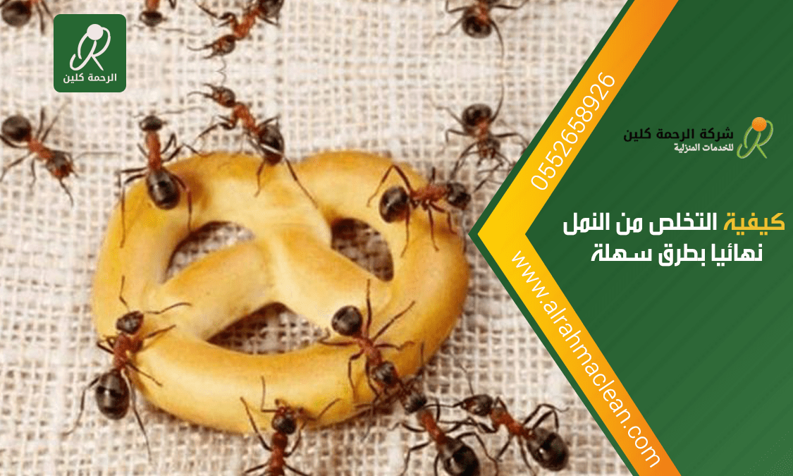كيفية التخلص من النمل نهائيا .. علاج النمل نهائيا من المنزل
