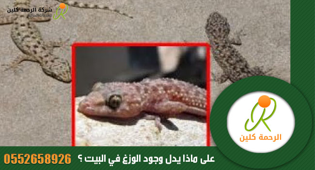 حلم الوزغ في البيت